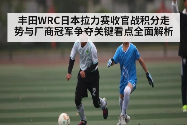 丰田WRC日本拉力赛收官战积分走势与厂商冠军争夺关键看点全面解析